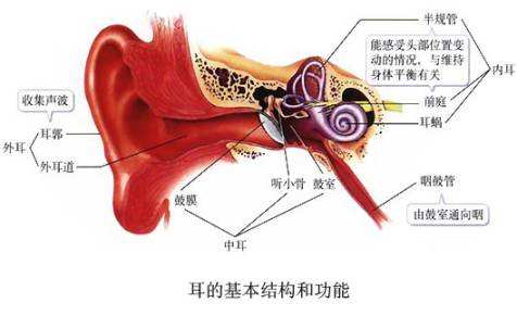 详解中耳炎形成的病因与症状